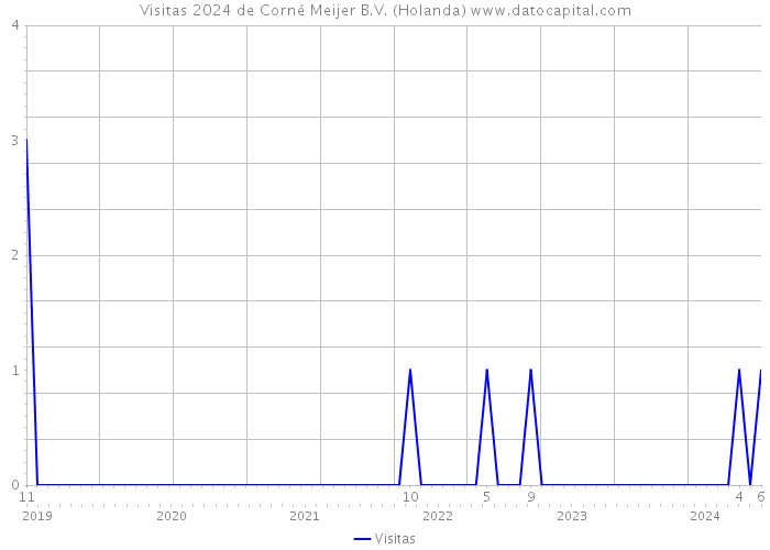 Visitas 2024 de Corné Meijer B.V. (Holanda) 