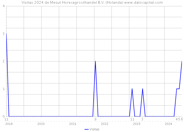 Visitas 2024 de Mesut Horecagroothandel B.V. (Holanda) 