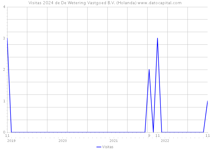 Visitas 2024 de De Wetering Vastgoed B.V. (Holanda) 