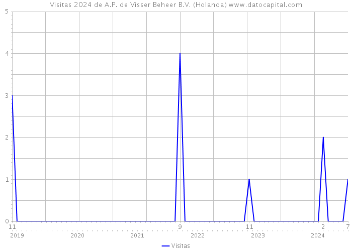 Visitas 2024 de A.P. de Visser Beheer B.V. (Holanda) 