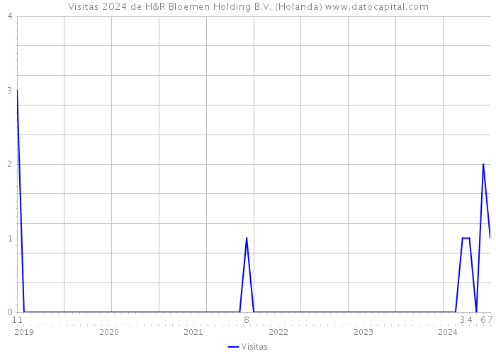 Visitas 2024 de H&R Bloemen Holding B.V. (Holanda) 