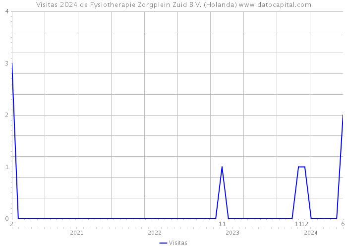 Visitas 2024 de Fysiotherapie Zorgplein Zuid B.V. (Holanda) 