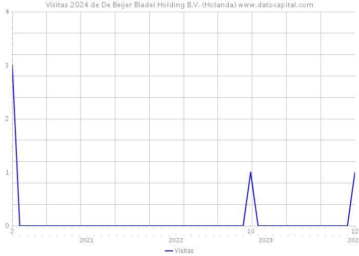 Visitas 2024 de De Beijer Bladel Holding B.V. (Holanda) 