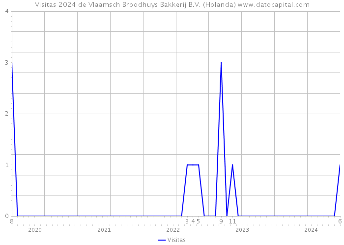 Visitas 2024 de Vlaamsch Broodhuys Bakkerij B.V. (Holanda) 