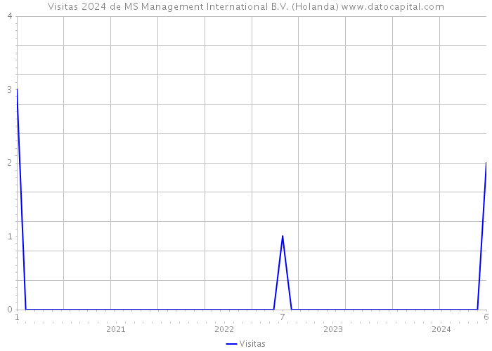 Visitas 2024 de MS Management International B.V. (Holanda) 