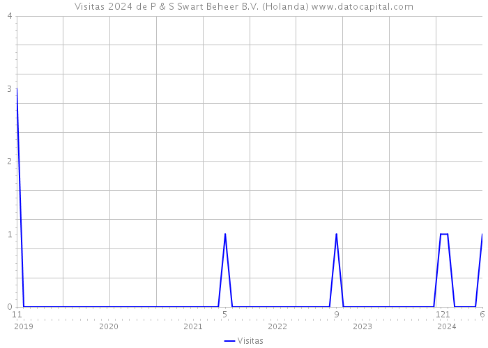 Visitas 2024 de P & S Swart Beheer B.V. (Holanda) 