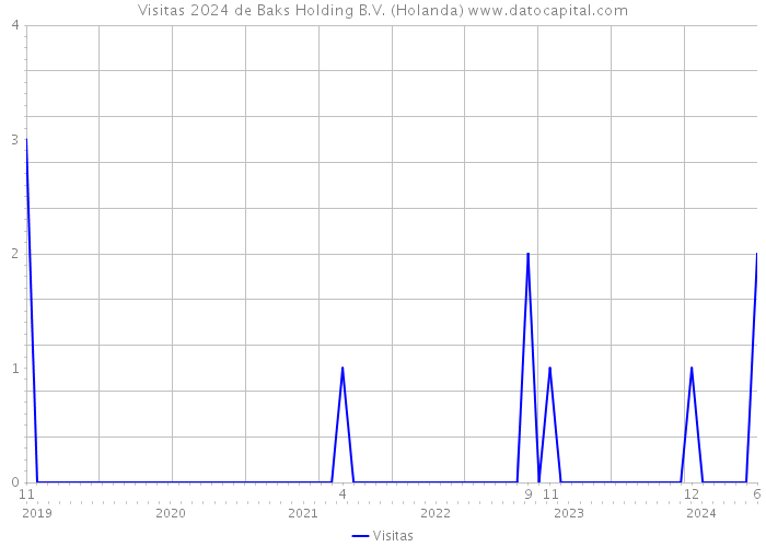 Visitas 2024 de Baks Holding B.V. (Holanda) 