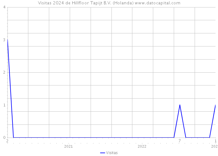 Visitas 2024 de Hillfloor Tapijt B.V. (Holanda) 