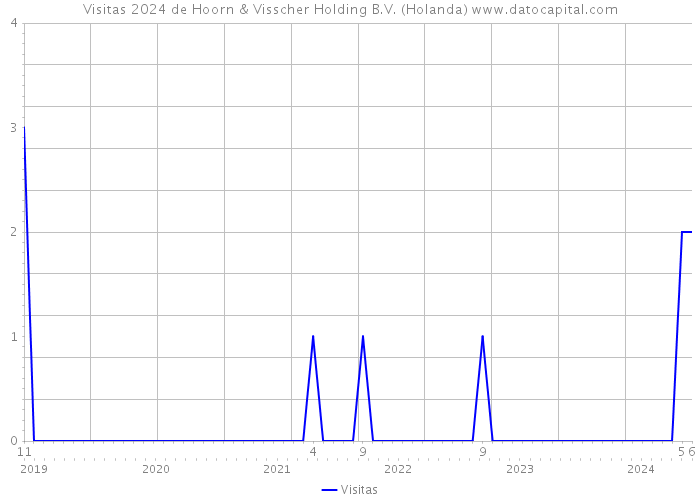 Visitas 2024 de Hoorn & Visscher Holding B.V. (Holanda) 