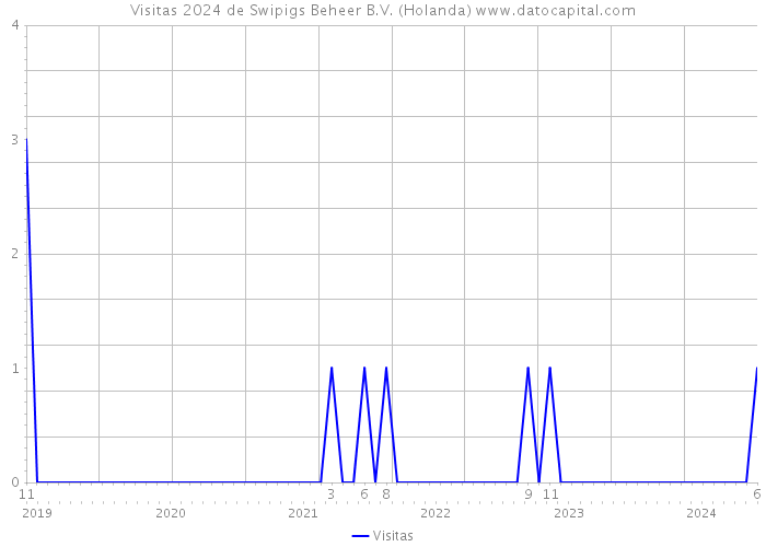 Visitas 2024 de Swipigs Beheer B.V. (Holanda) 