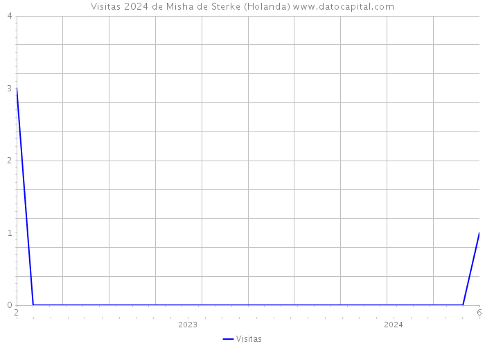 Visitas 2024 de Misha de Sterke (Holanda) 