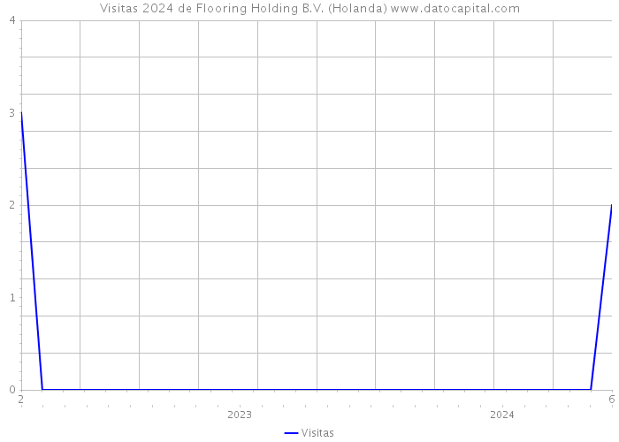 Visitas 2024 de Flooring Holding B.V. (Holanda) 
