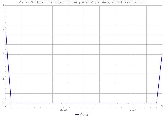 Visitas 2024 de Holland Bedding Company B.V. (Holanda) 