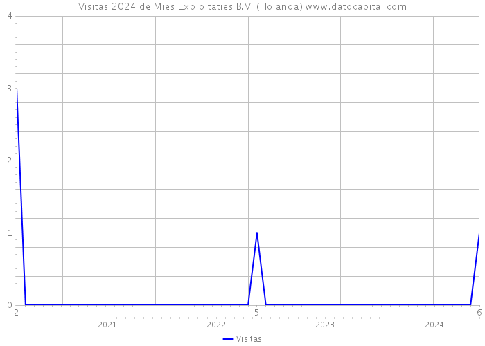 Visitas 2024 de Mies Exploitaties B.V. (Holanda) 