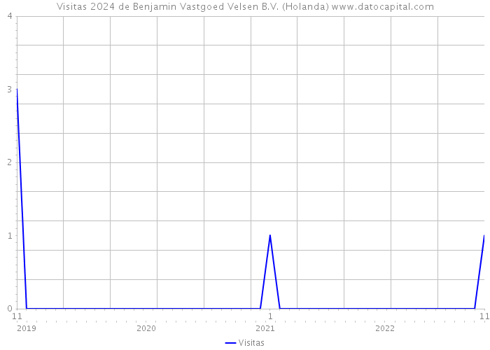 Visitas 2024 de Benjamin Vastgoed Velsen B.V. (Holanda) 