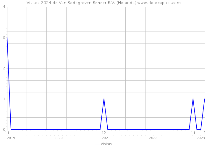 Visitas 2024 de Van Bodegraven Beheer B.V. (Holanda) 