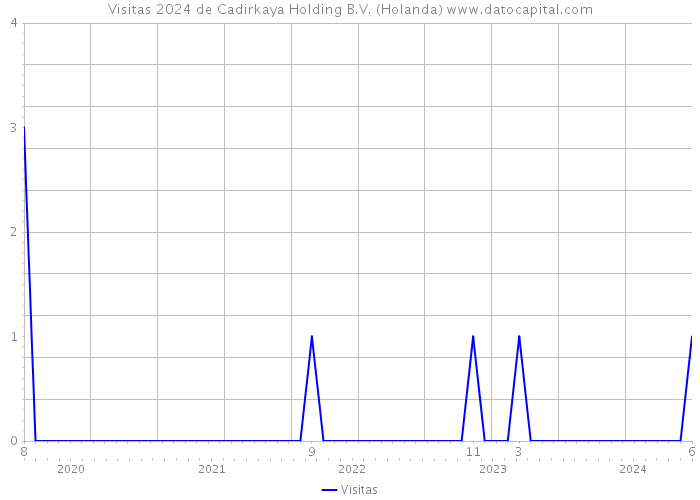 Visitas 2024 de Cadirkaya Holding B.V. (Holanda) 