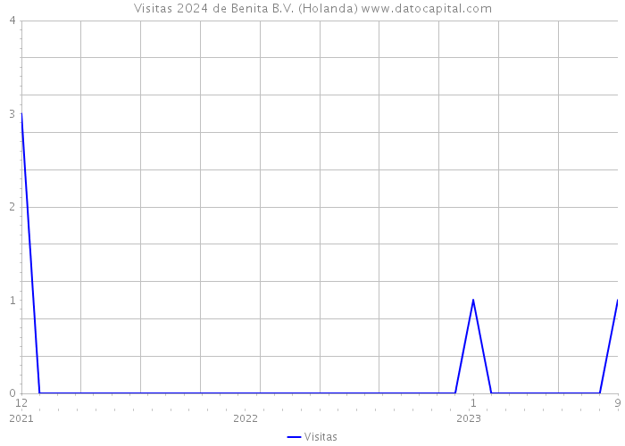 Visitas 2024 de Benita B.V. (Holanda) 