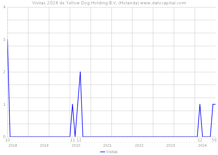 Visitas 2024 de Yellow Dog Holding B.V. (Holanda) 
