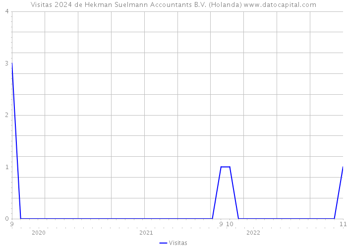 Visitas 2024 de Hekman Suelmann Accountants B.V. (Holanda) 