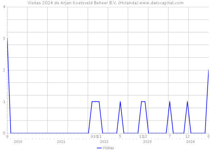 Visitas 2024 de Arjan Koetsveld Beheer B.V. (Holanda) 