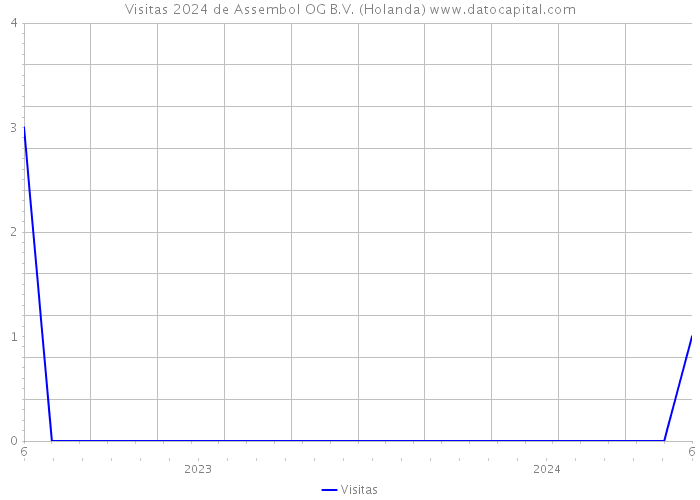 Visitas 2024 de Assembol OG B.V. (Holanda) 