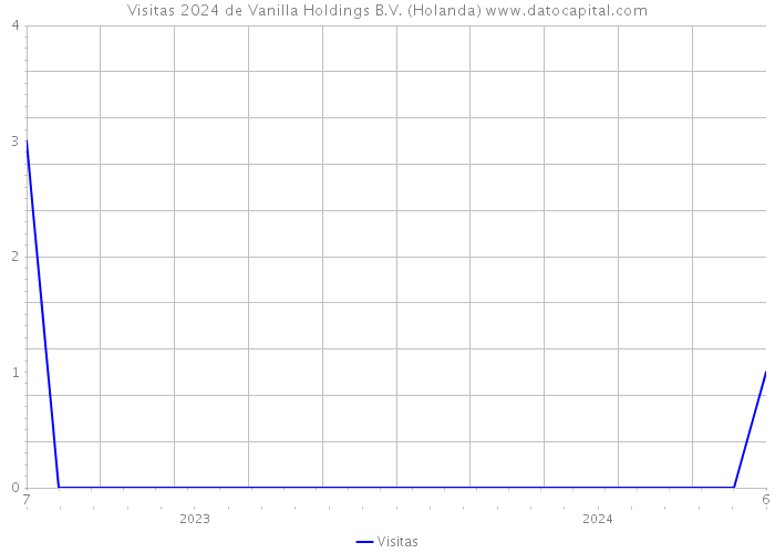 Visitas 2024 de Vanilla Holdings B.V. (Holanda) 