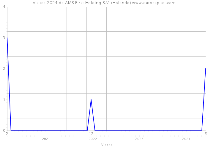 Visitas 2024 de AMS First Holding B.V. (Holanda) 