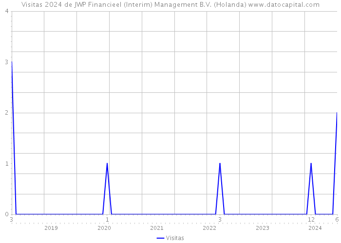Visitas 2024 de JWP Financieel (Interim) Management B.V. (Holanda) 