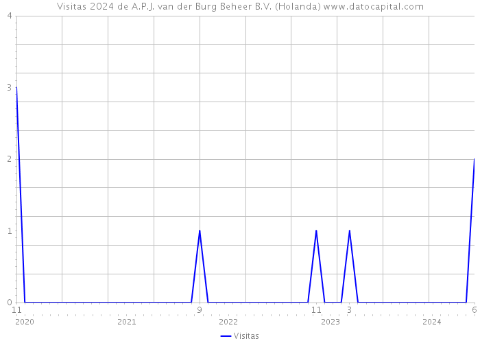 Visitas 2024 de A.P.J. van der Burg Beheer B.V. (Holanda) 