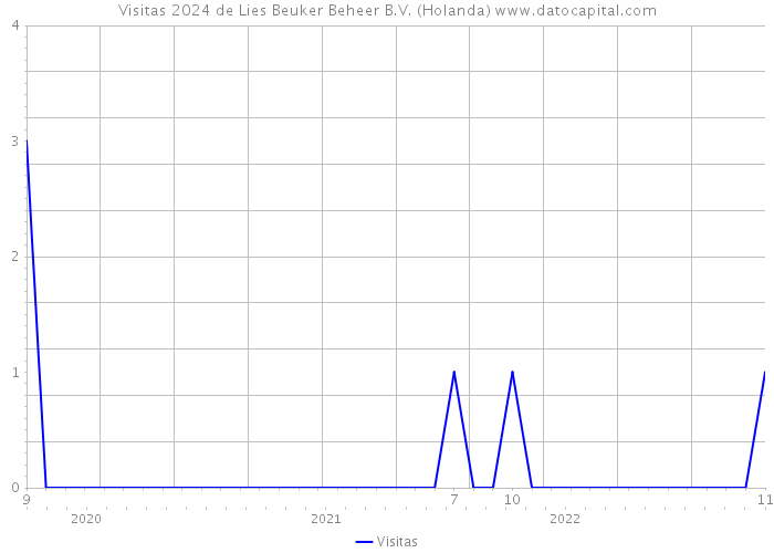 Visitas 2024 de Lies Beuker Beheer B.V. (Holanda) 