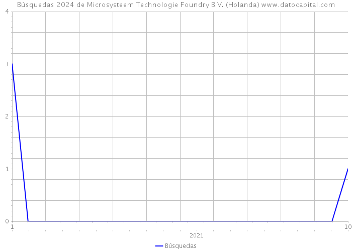 Búsquedas 2024 de Microsysteem Technologie Foundry B.V. (Holanda) 