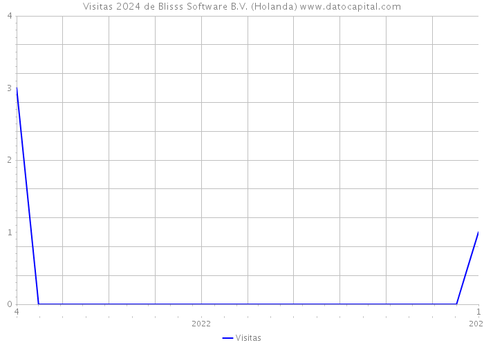 Visitas 2024 de Blisss Software B.V. (Holanda) 