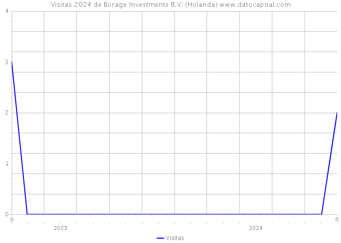 Visitas 2024 de Borage Investments B.V. (Holanda) 