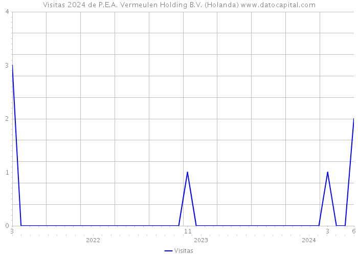 Visitas 2024 de P.E.A. Vermeulen Holding B.V. (Holanda) 
