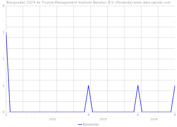 Búsquedas 2024 de Toyota Management Institute Benelux B.V. (Holanda) 