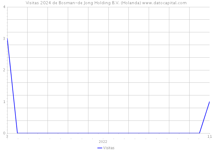 Visitas 2024 de Bosman-de Jong Holding B.V. (Holanda) 