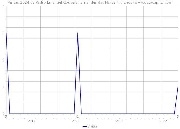 Visitas 2024 de Pedro Emanuel Gouveia Fernandes das Neves (Holanda) 