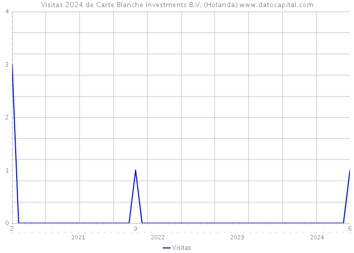 Visitas 2024 de Carte Blanche Investments B.V. (Holanda) 