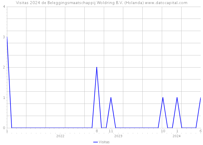 Visitas 2024 de Beleggingsmaatschappij Woldring B.V. (Holanda) 