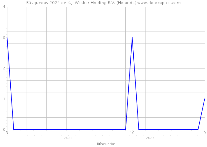 Búsquedas 2024 de K.J. Wakker Holding B.V. (Holanda) 
