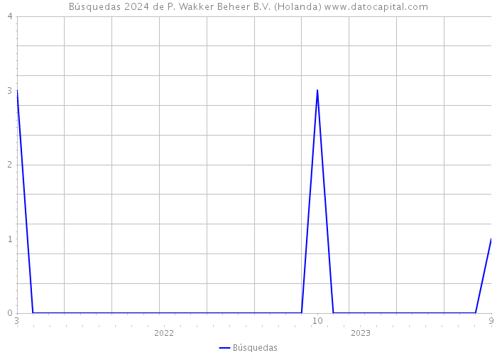 Búsquedas 2024 de P. Wakker Beheer B.V. (Holanda) 