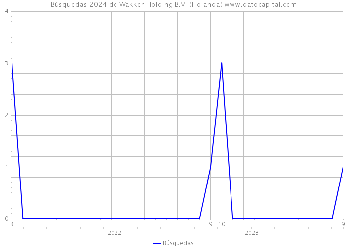 Búsquedas 2024 de Wakker Holding B.V. (Holanda) 