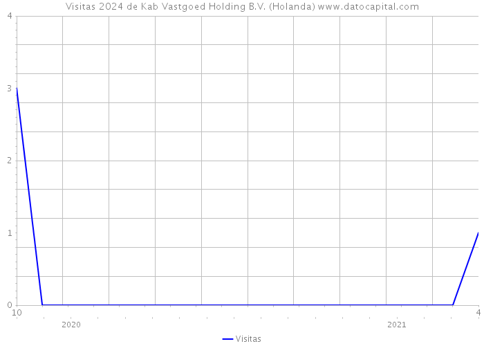 Visitas 2024 de Kab Vastgoed Holding B.V. (Holanda) 