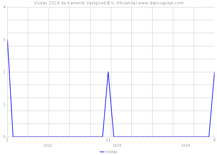 Visitas 2024 de Kamerik Vastgoed B.V. (Holanda) 