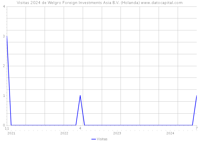 Visitas 2024 de Welgro Foreign Investments Asia B.V. (Holanda) 