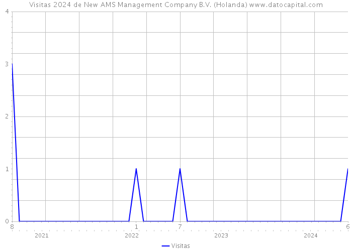 Visitas 2024 de New AMS Management Company B.V. (Holanda) 