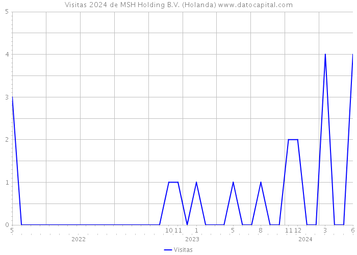 Visitas 2024 de MSH Holding B.V. (Holanda) 