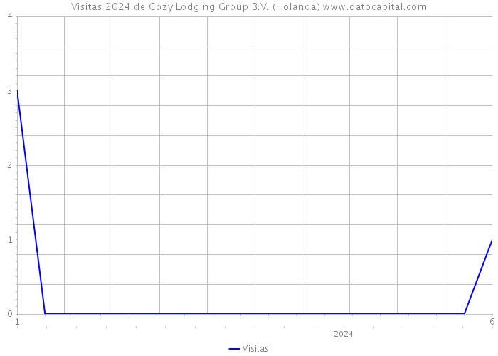 Visitas 2024 de Cozy Lodging Group B.V. (Holanda) 