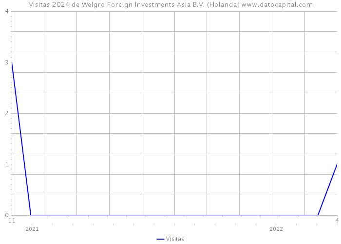 Visitas 2024 de Welgro Foreign Investments Asia B.V. (Holanda) 